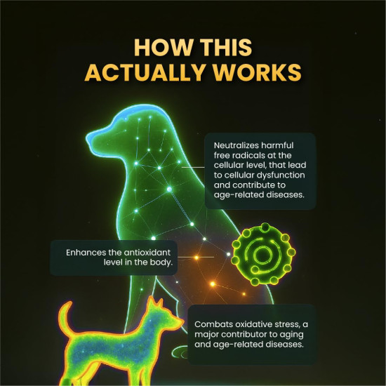 FUR BALL STORY Supertonic Multivitamin Syrup for Dogs & Cats | Pet Immunity & Energy Booster Supplement | Supports Liver, Kidney & Overall Health | with Moringa, Ashwagandha & 10+ Superfoods 200ml