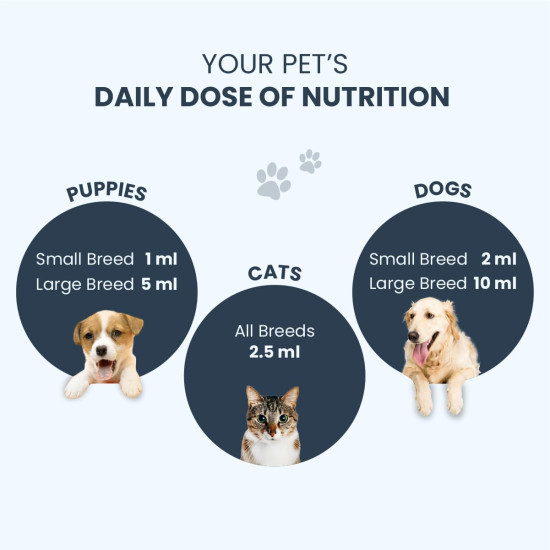 FUR BALL STORY Supertonic Multivitamin Syrup for Dogs & Cats | Pet Immunity & Energy Booster Supplement | Supports Liver, Kidney & Overall Health | with Moringa, Ashwagandha & 10+ Superfoods 200ml