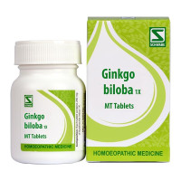 Dr.Willmar Schwabe India Ginkgo Biloba 1X 20Gm