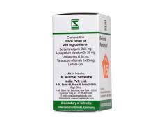Dr.Willmar Schwabe India Berberis Pentarkan 20 Gm
