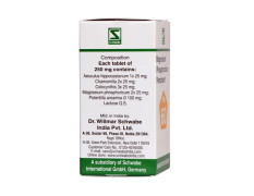 Dr.Willmar Schwabe India Magnesium Phos Pentarkan 20 Gm