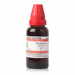 Dr.Willmar Schwabe India Phytolacca Berry Mt 30Ml