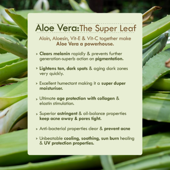 Nat Habit Active Face Gel, Olive Vit-E For Night Restore & Aging Protection With Cooling, Soothing, Sun Burn Healing & UV Protection, Suitable For All Skin Types, 50gm