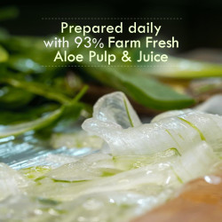 Nat Habit Active Face Gel, Aloe Cactus Hydra Lift For Rapid Hydration Boost & Moisture Lock With Cooling, Soothing, SunBurn Healing & UV Protection, 50gm