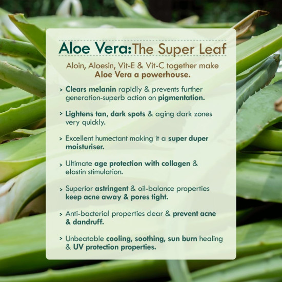 Nat Habit Active Face Gel, Aloe Cactus Hydra Lift For Rapid Hydration Boost & Moisture Lock With Cooling, Soothing, SunBurn Healing & UV Protection, 50gm Nat Habit Active Face Gel, Aloe Cactus Hydra Lift For Rapid Hydration Boost & Moisture Lock With Cooling, Soothing, SunBurn Healing & UV Protection, 50gm