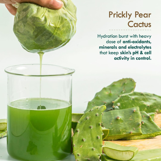 Nat Habit Active Face Gel, Aloe Cactus Hydra Lift For Rapid Hydration Boost & Moisture Lock With Cooling, Soothing, SunBurn Healing & UV Protection, 50gm Nat Habit Active Face Gel, Aloe Cactus Hydra Lift For Rapid Hydration Boost & Moisture Lock With Cooling, Soothing, SunBurn Healing & UV Protection, 50gm