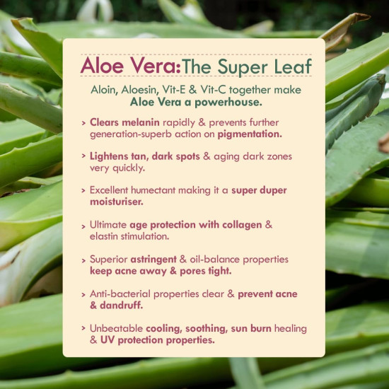 Nat Habit Active Face Gel, Beetroot Tomato Vit-A For Dry Skin Care & Supple Youth Defence With Cooling, Soothing, SunBurn Healing & UV Protection, 50gm Nat Habit Active Face Gel, Beetroot Tomato Vit-A For Dry Skin Care & Supple Youth Defence With Cooling, Soothing, SunBurn Healing & UV Protection, 50gm