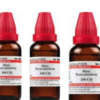 Dr. Willmar Schwabe India Rhus Tox 200 CH 30ml (Pack of 3)