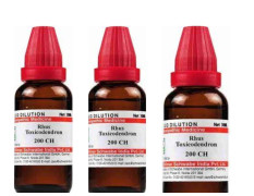 Dr. Willmar Schwabe India Rhus Tox 200 CH 30ml (Pack of 3)