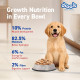 Drools Puppy Wet Dog Food 0.9kg (150g x 6 Packs) | Real Chicken & Chicken Liver Chunks in Gravy | Better Digestibility & Overall Health | Supports Healthy Skin & Coat | Maintains Joint Health