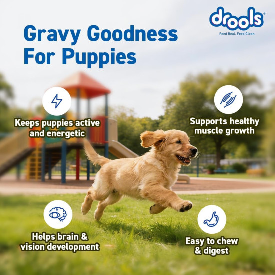 Drools Puppy Wet Dog Food 0.9kg (150g x 6 Packs) | Real Chicken & Chicken Liver Chunks in Gravy | Better Digestibility & Overall Health | Supports Healthy Skin & Coat | Maintains Joint Health