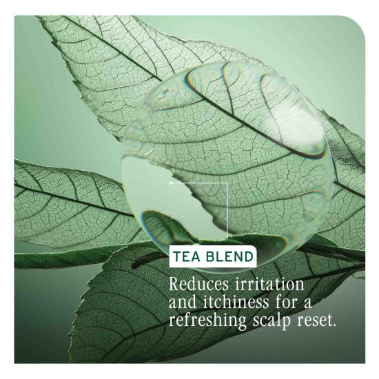 Biolage ScalpSync Oil Balancing Serum - Absorbs Excess Oil, For Oily Scalp, Soothed and Hydrated Scalp for up to 72 hours, with Fermented Tea Blend, Vegan & Paraben-Free