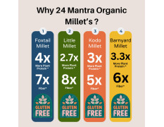 24 Mantra Organic Unpolished Millets 2.5 kg Combo, Pack of 5, Foxtail, Kodo, Little, Barnyard, Mixed Millets | Goodness in every grain | Rice Replacement