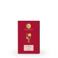 Forest Essentials Luxury Sugar Soap Nargis Ayurvedic Luxury Handmade Soap & Forest Essentials Luxury Sugar Soap Bengal Tuberose Ayurvedic Combo