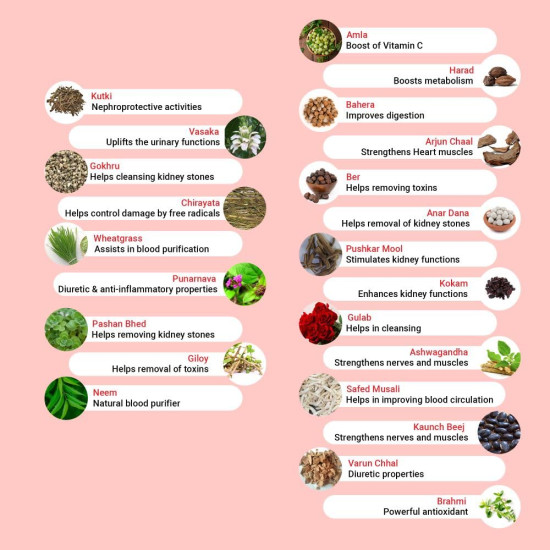 Krishna's Kidney Re-Live Tablet - 80 tab | Enriched with extracts of Punarnava, Arjun Chal, Pushkar Mool, Gokhru & 20 Herbs | Improving Kidney Function | Ayurvedic Health Supplement