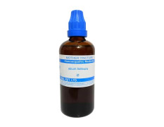 SBL Allium Sativum Q 100 ml