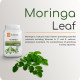 Krishna's Herbal & Ayurveda Pure Moringa Leaf Powder (100gms), Drumstick Leaf Powder Good for Hair, Skin and Immunity, Rich in Multivitamins