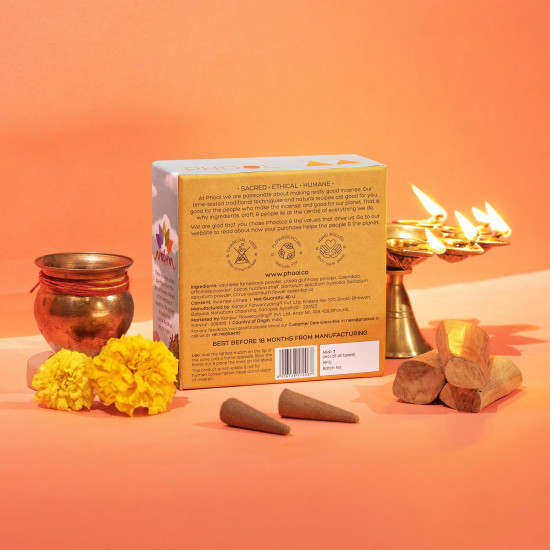 PHOOL LUXURY INCENSE Ayodhya Incense Cones-Soumya Chandan Fragrance|Special Pooja Pack Flowers Offered At Ayodhya Temples|Pack Of 40 Dhoop Cones|No Charcoal&Chemical|Free Dhoop Stand Inside