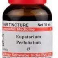 Dr. Willmar Schwabe India Eupatorium Perfoliatum Q 30ML