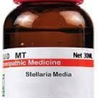 Dr. Willmar Schwabe India Stellaria Media Q 30ML (Pack of 2)