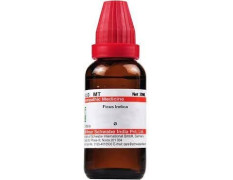 Dr. Willmar Schwabe India Ficus Indica Q 30 ML (Pack of 2)