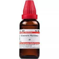 Dr. Willmar Schwabe India Cineraria Maritima Q 30 ML (Pack of 2)