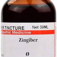 Dr. Willmar Schwabe India Zingiber (Zingiber officinale) Q 30 ML (Pcak of 3)