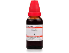 Dr. Willmar Schwabe India Zingiber (Zingiber officinale) Q 30 ML (Pcak of 3)