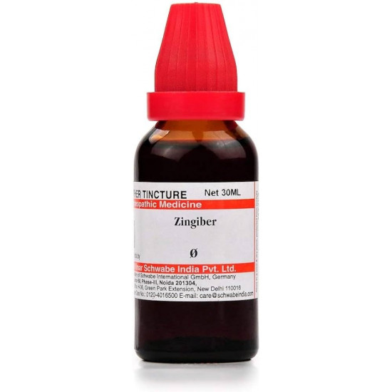 Dr. Willmar Schwabe India Zingiber (Zingiber officinale) Q 30 ML (Pcak of 3)