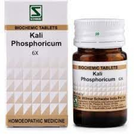 Dr. Willmar Schwabe India Kali Phosphoricum Tablet 6X-25 GM (Pck of 2)