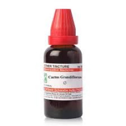 Dr Willmar Schwabe India Cactus Grandiflorus Q 30ML (Pack of 2)