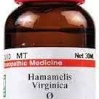 Dr Willmar Schwabe India Hamamelis Virginica Q 30ML (Pack of 2)