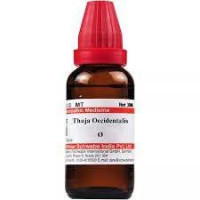 Dr Willmar Schwabe India Thuja Occidentalis Q 30ML (Pack of 2)
