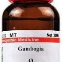 Dr Willmar Schwabe India Gambogia Q 30 ML