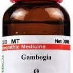 Dr Willmar Schwabe India Gambogia Q 30 ML