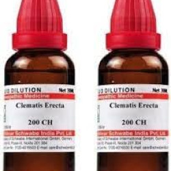 Dr Willmar Schwabe India Clematis Erecta 200 CH, 30 ML (Pack of 2)
