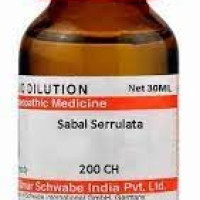 Dr Willmar Schwabe India Sabal Serrulata 200 Ch, 30ML (Pack of 2)