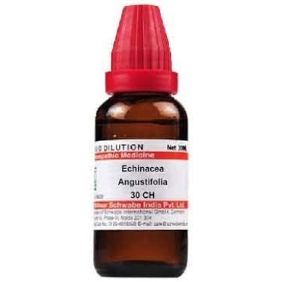 Dr. Willmar Schwabe India Echinacea Angustifolia 30 CH, 30ML (Pack of 2)