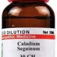 Dr. Willmar Schwabe India Caladium Seguinum 30Ch 30Ml (pack of 2)