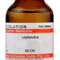 Dr. Willmar Schwabe India Leptandra 30 CH, 30ML (Pack of 2)