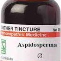 Dr. Willmar Schwabe India Aspidosperma Q 30ML (Pack of 2)