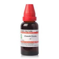 Dr. Willmar Schwabe India Clematis Erecta Q 30 ML