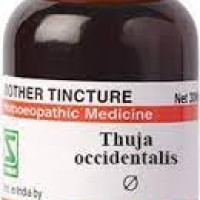 Dr. Willmar Schwabe India Thuja Occidentalis Q 30ML