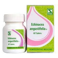 Dr. Willmar Schwabe India Echinacea Angustifolia Tablet 1X 20GM