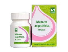 Dr. Willmar Schwabe India Echinacea Angustifolia Tablet 1X 20GM