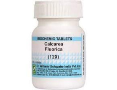 Dr. Willmar Schwabe India Calcarea Fluorica Tablet 12X -20GM (Pack of 2)