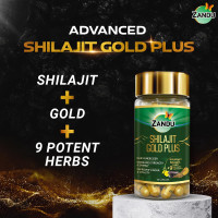 Zandu Shilajit Gold Plus| | 100% Pure Himalayan Shilajit + 24K Gold + 9 powerful herbs | Enhances strength, stamina, vigour, vitality and power | Scientifically tested advanced formula | 60 Caps