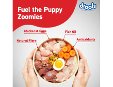 Drools Puppy Dry Dog Food 1.2Kg Pack | Chicken and Egg Flavour | Optimal Growth | Healthy Coat & Skin | Strong Immune System | Enhanced Palatability