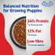 Drools Puppy Dry Dog Food 1.2Kg Pack | Chicken and Egg Flavour | Optimal Growth | Healthy Coat & Skin | Strong Immune System | Enhanced Palatability