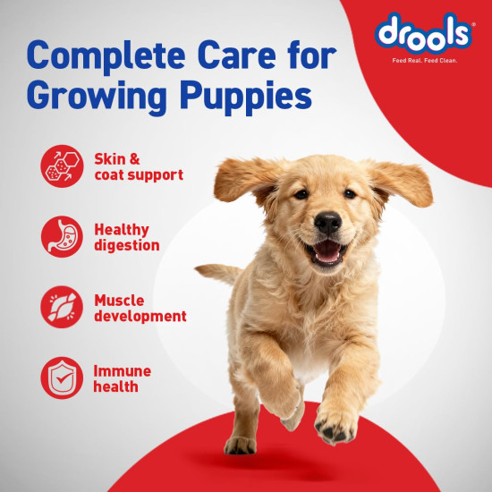 Drools Puppy Dry Dog Food 1.2Kg Pack | Chicken and Egg Flavour | Optimal Growth | Healthy Coat & Skin | Strong Immune System | Enhanced Palatability